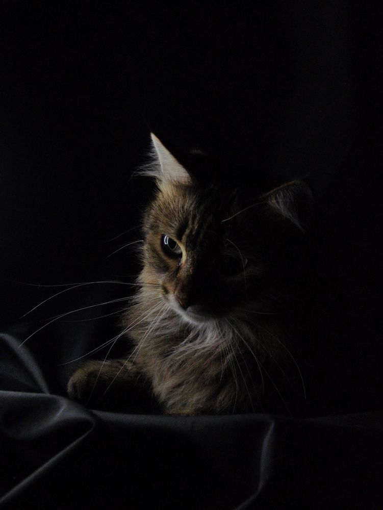 Photograph by Екатерина Радюкевич