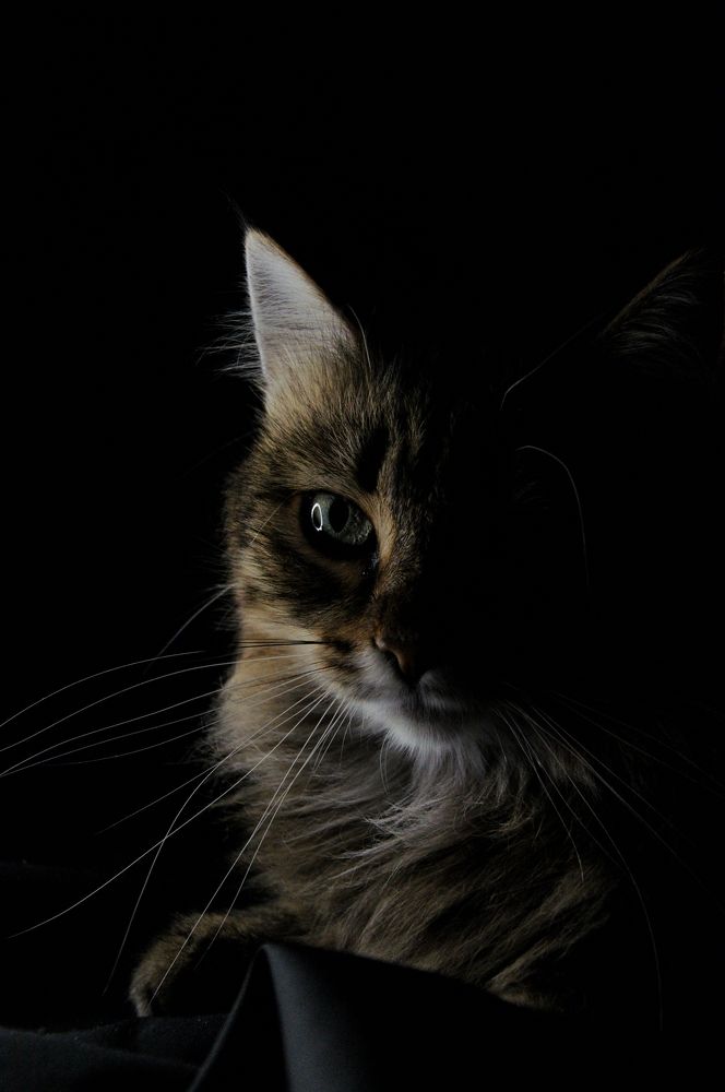 Photograph by Екатерина Радюкевич