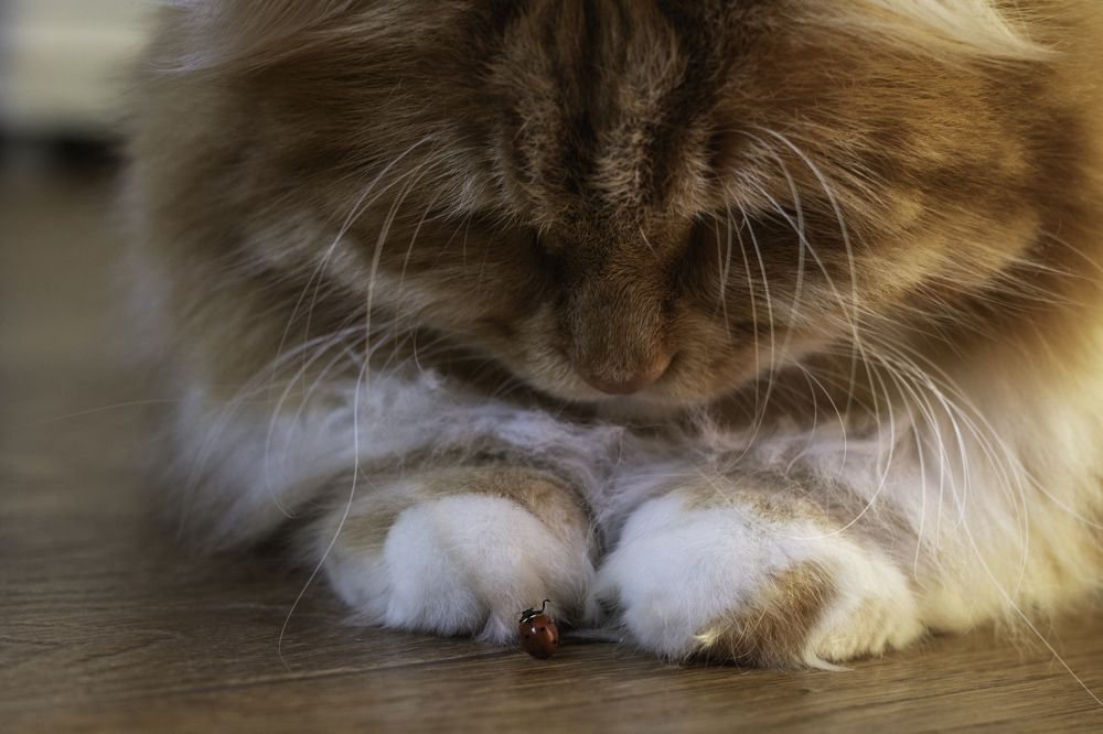 Photograph by Екатерина Андросова