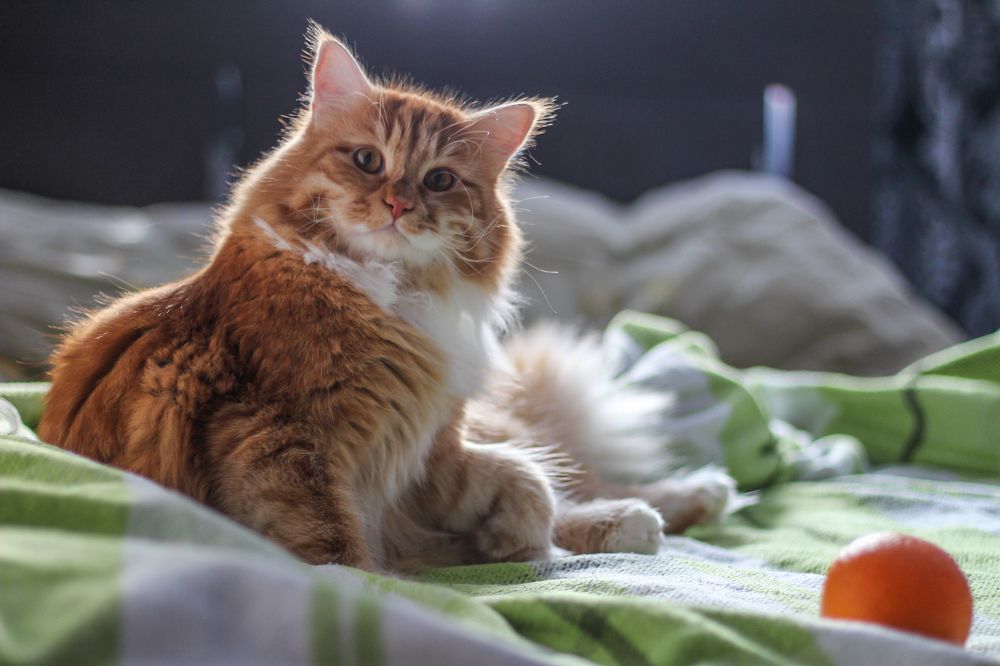 Photograph by Екатерина Андросова