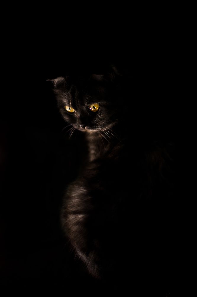 Фотография автора Юлия Малютина