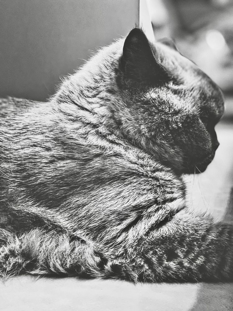 Photograph by Elnora Atnagulova