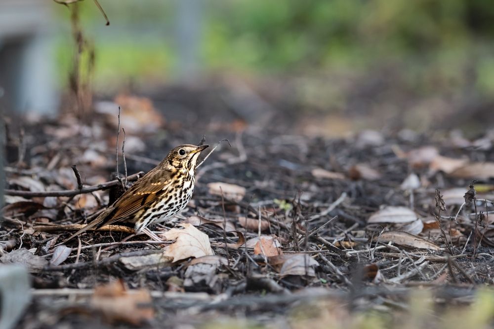 Photograph by Михаил Архипов