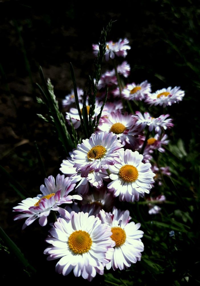 Фотография автора Ольга Кунакова