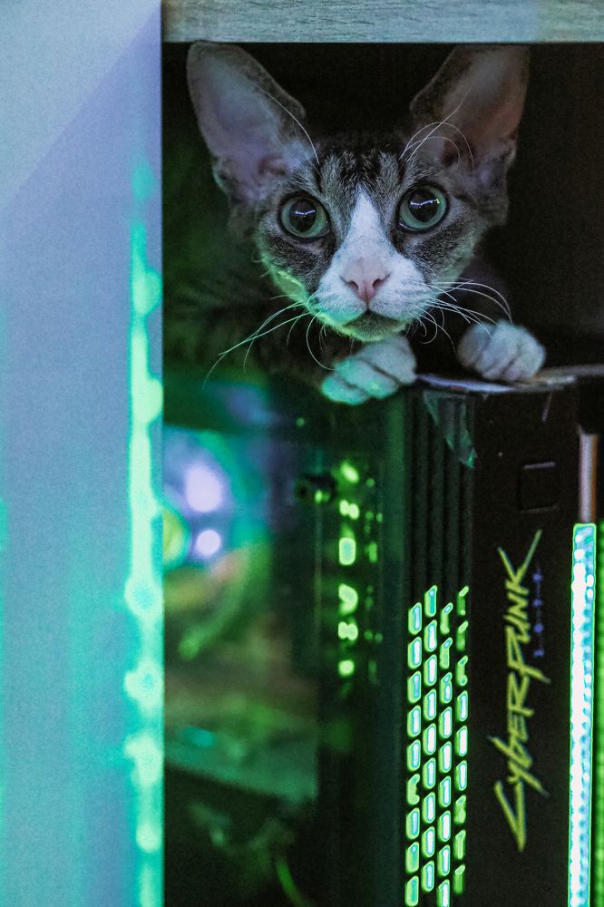 Photograph by Татьяна Шевченко