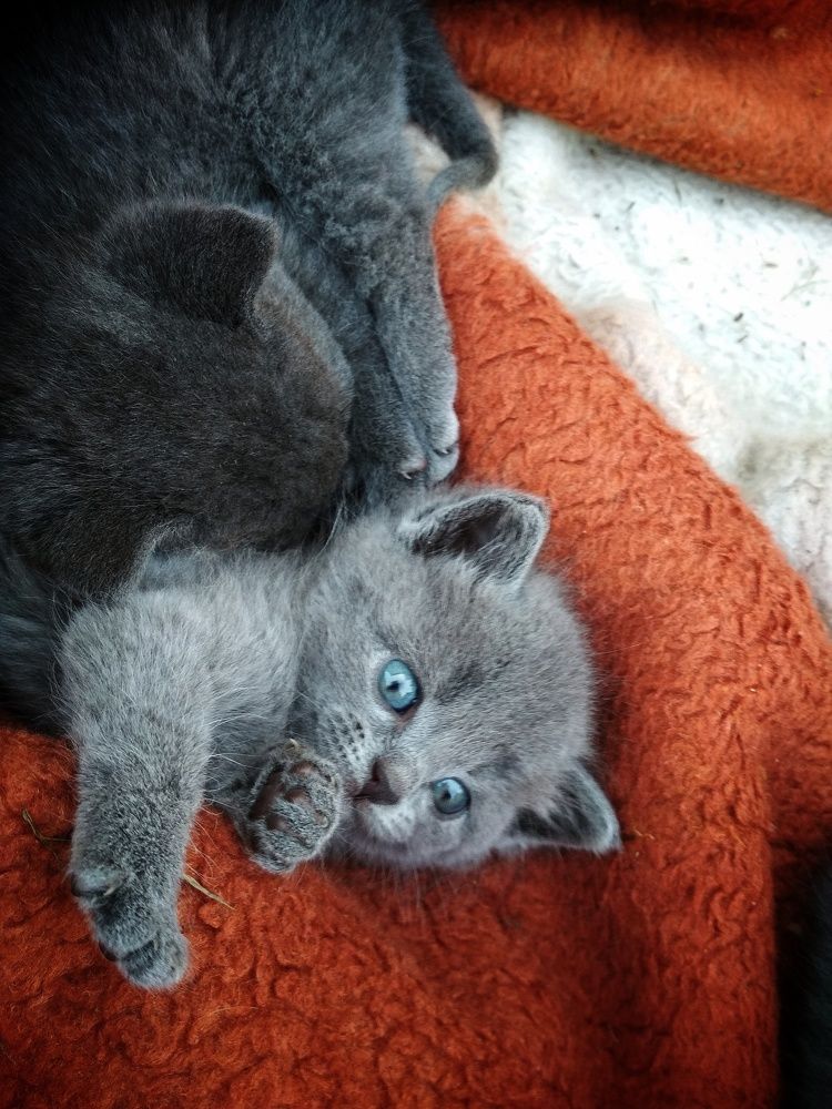 Photograph by Ellina Asaup