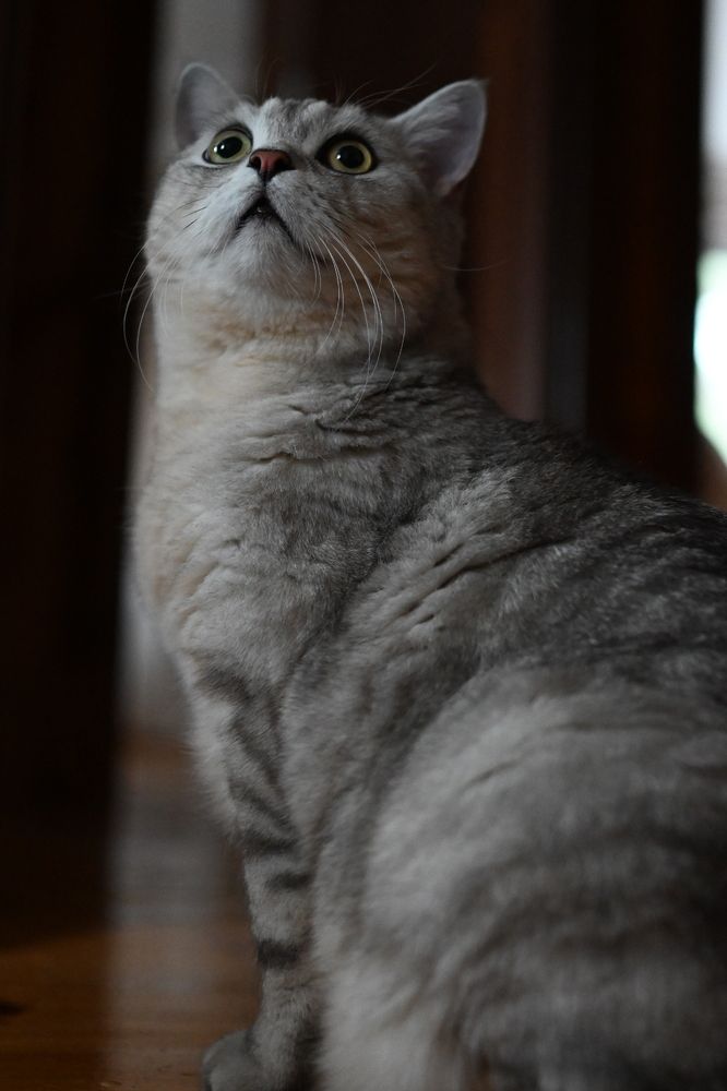 Photograph by Светлана Рубникович