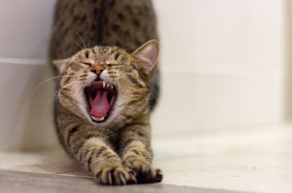 Photograph by Екатерина Кузьмичева