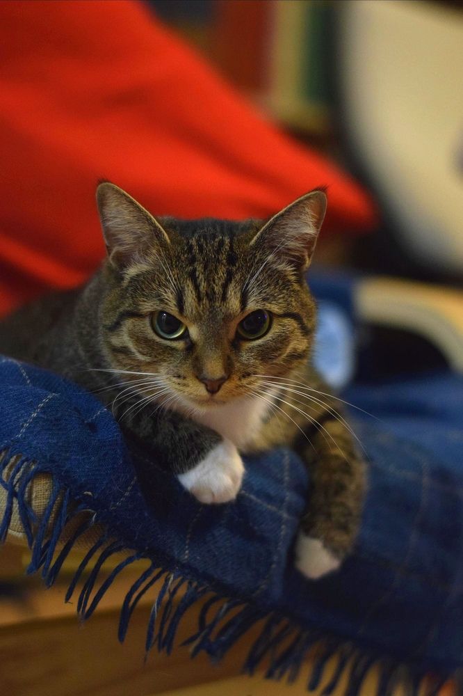 Photograph by Юля Шуравенкова