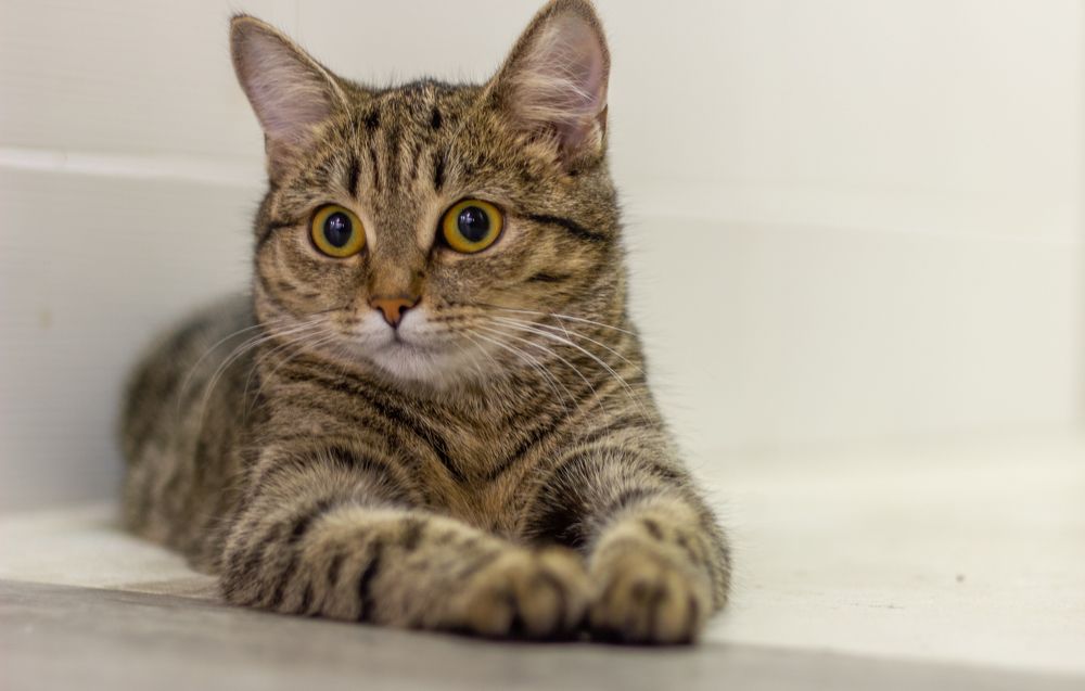 Photograph by Екатерина Кузьмичева