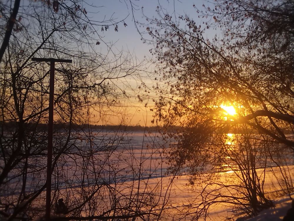 Photo #8664063
