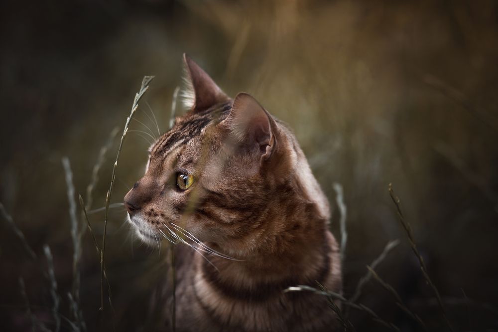 Photograph by Людмила Потапочкина