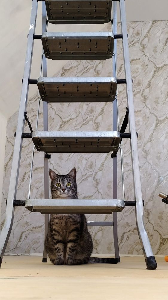 Фотография автора Михаил Кузнецов