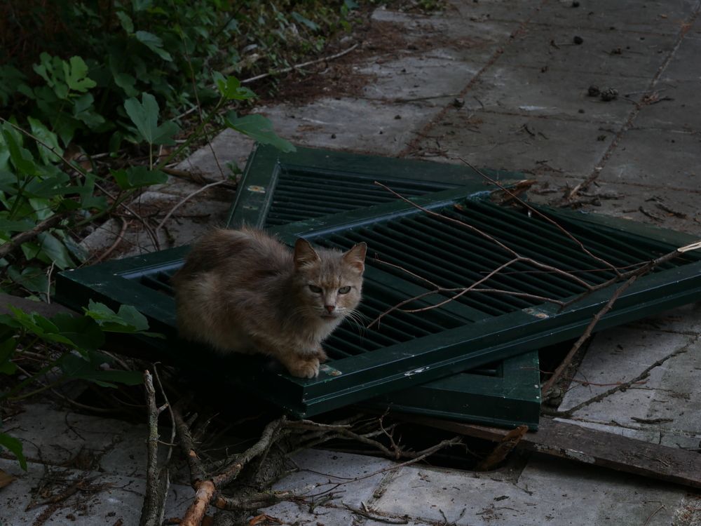 Photograph by Nataliya Stepanova