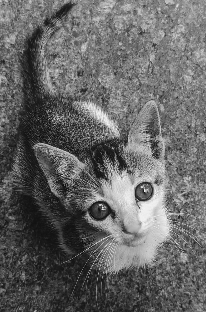 Photograph by Furqan Ahmed Golandaz