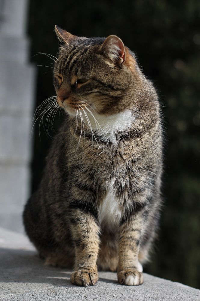 Фотография автора Таня Долгушева