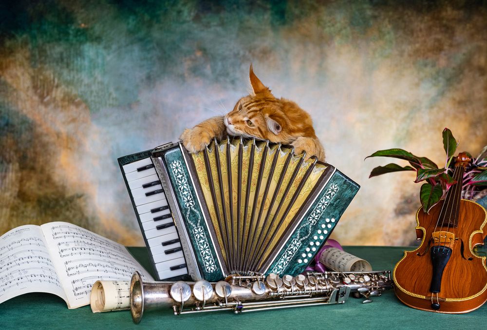 Photograph by Надежда