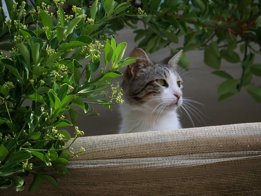 Photograph by Nataliya Stepanova
