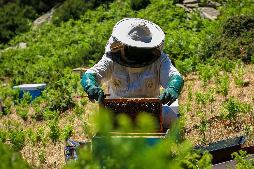 Photograph by Alexandra Sergeeva