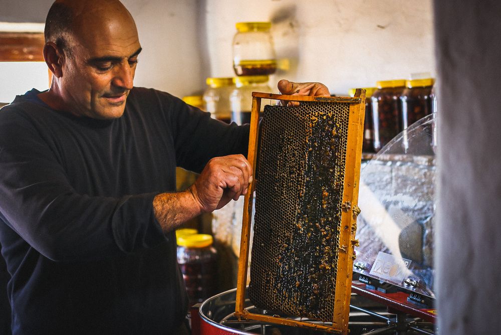 Photograph by Alexandra Sergeeva