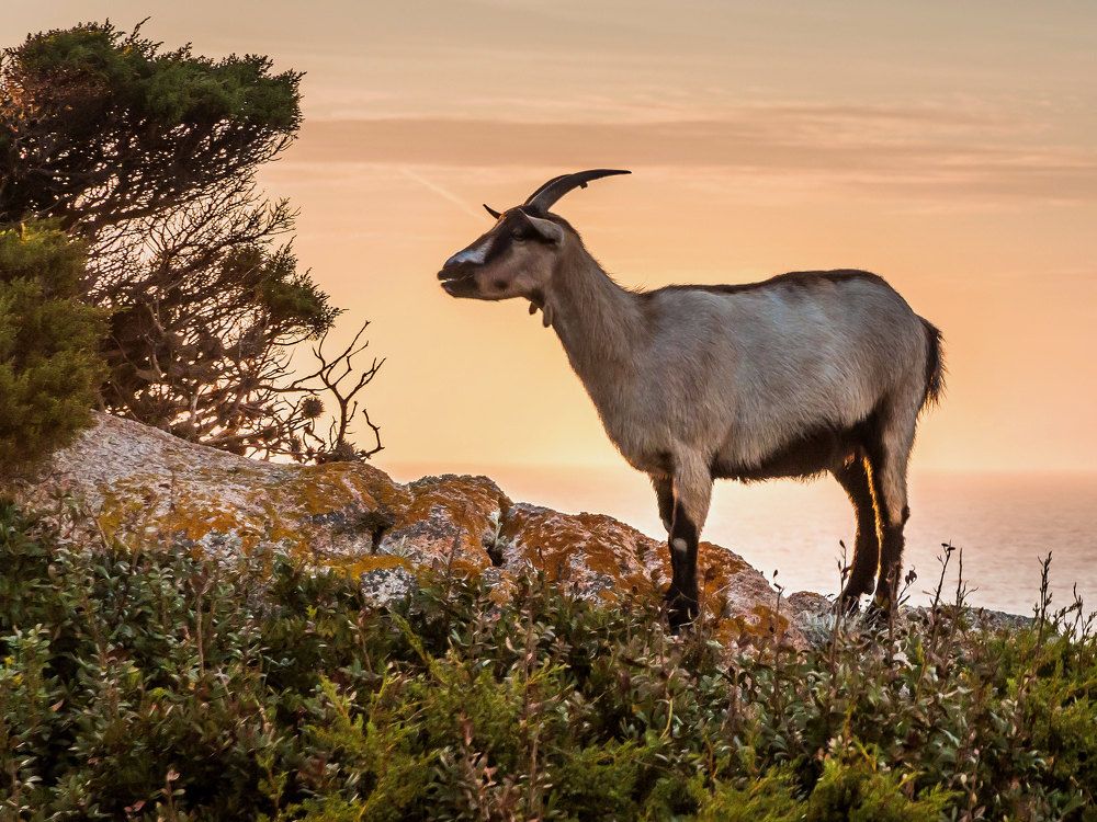 Закат на Сардинии