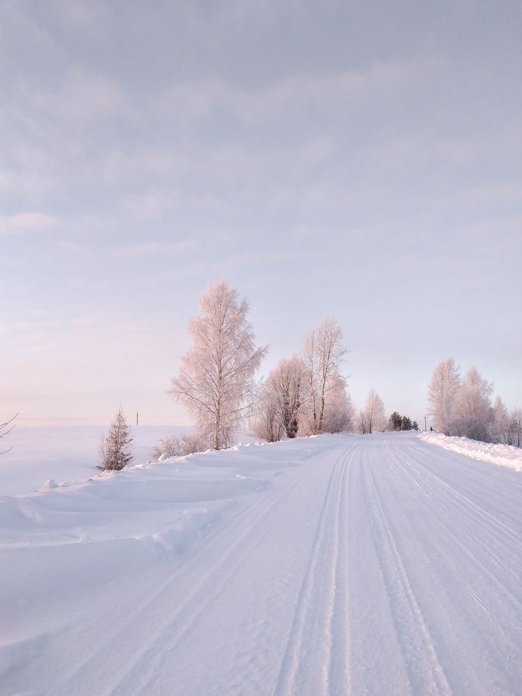 Photo #8664273