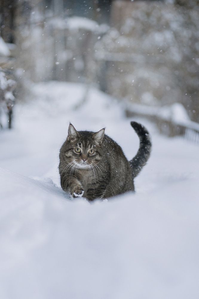 Photograph by Людмила Потапочкина