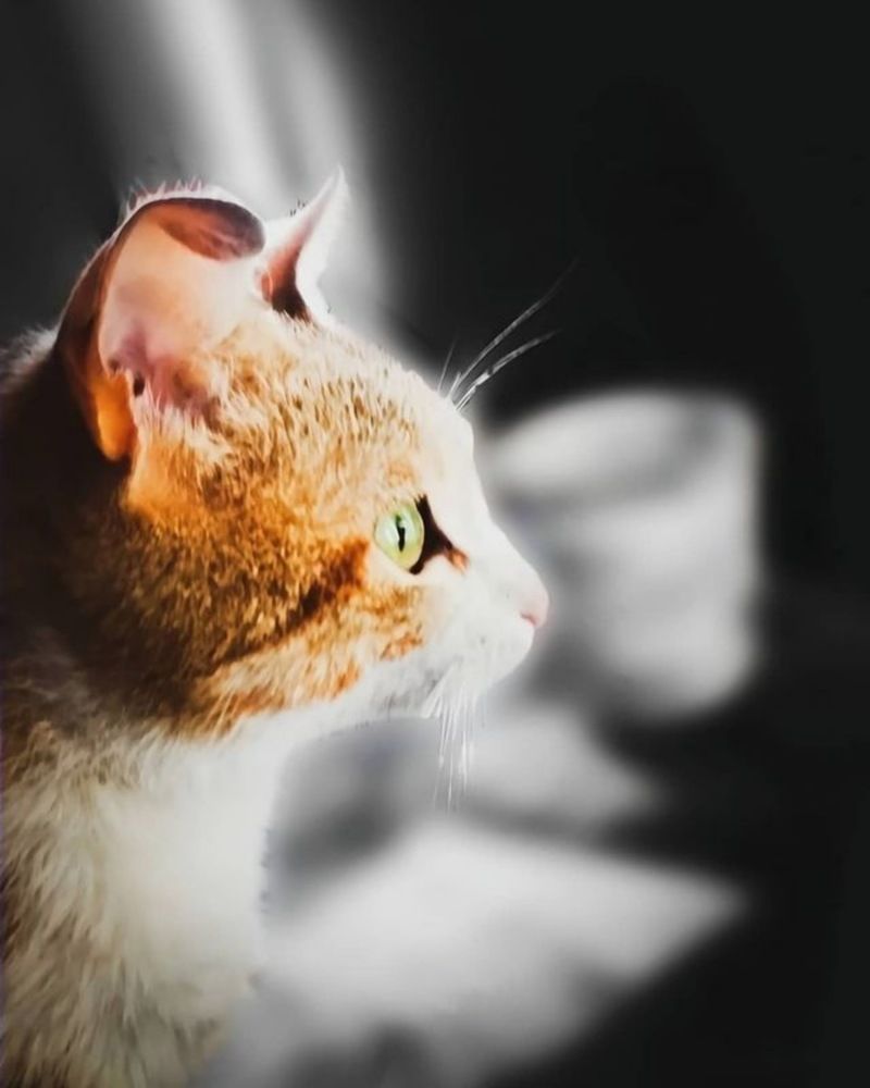 Photograph by Zakaria Kherfane