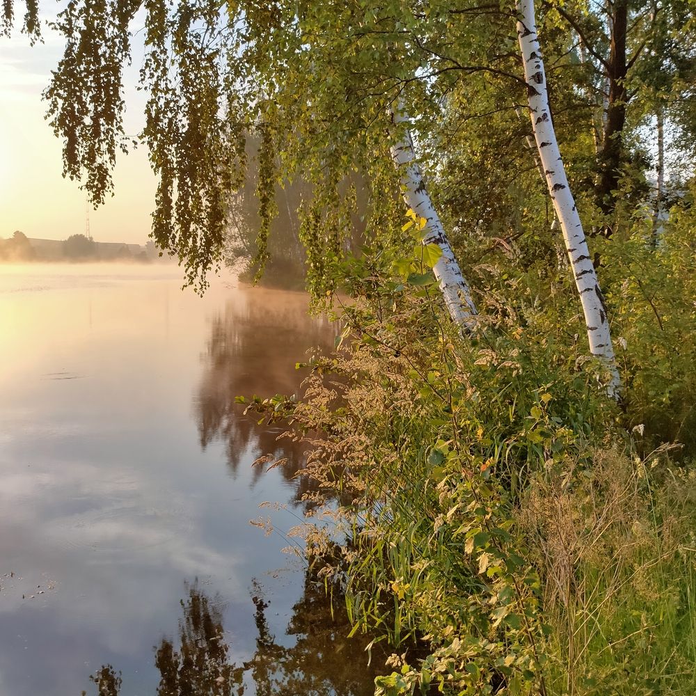 Рассвет на озере.