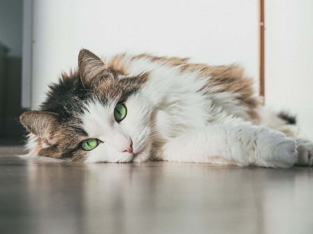 Photograph by Виктория Матушкина