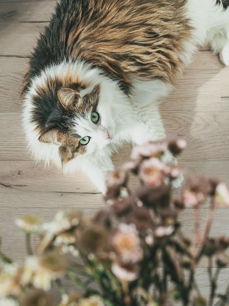 Photograph by Виктория Матушкина