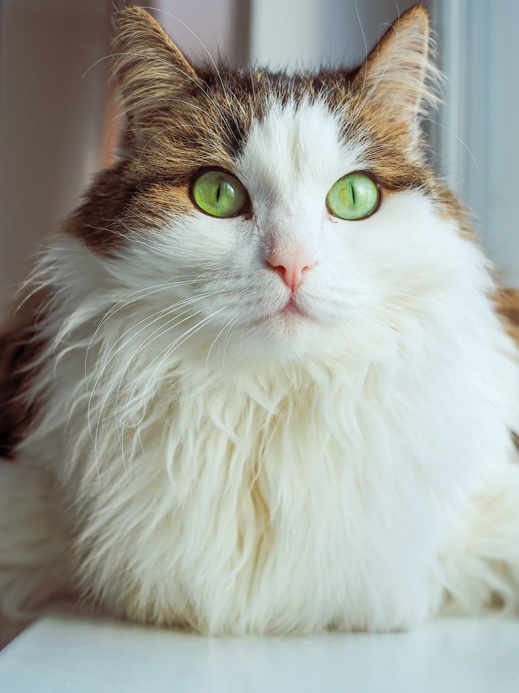 Photograph by Виктория Матушкина