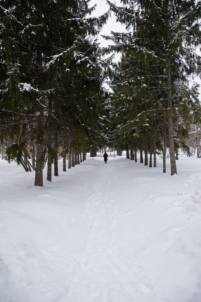 Photograph by Елена Берсенёва