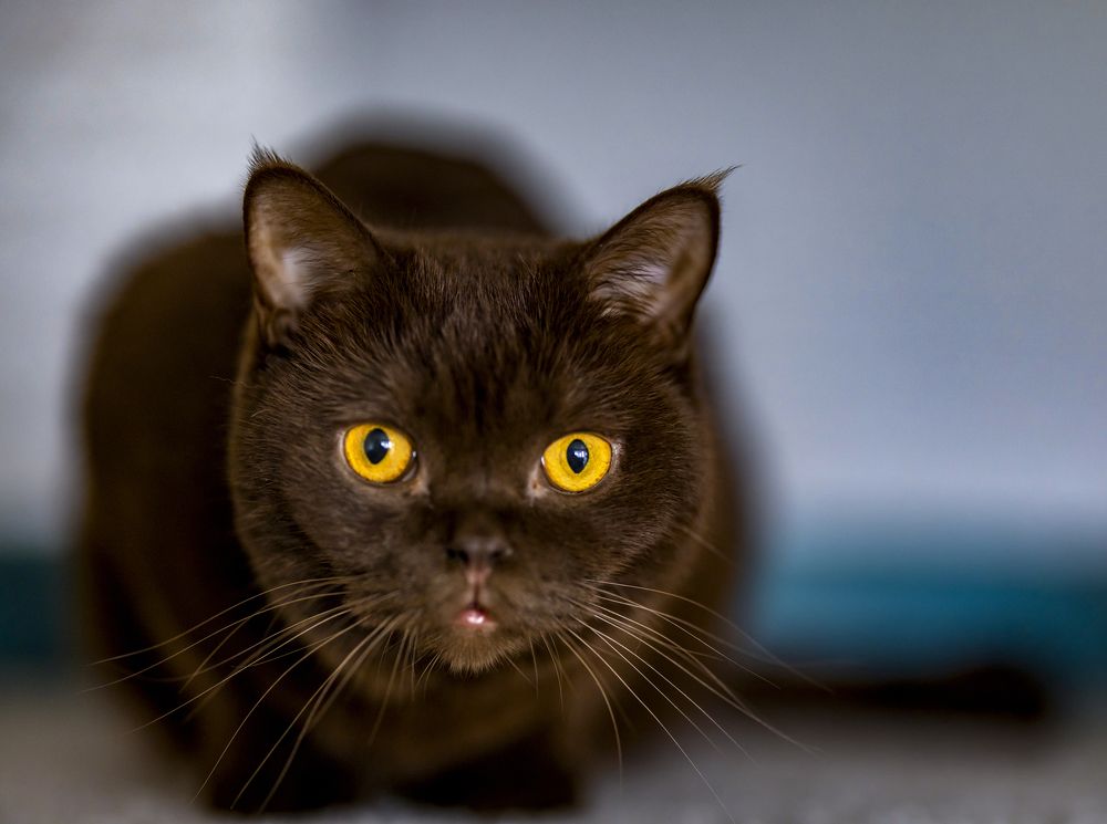 Photograph by Анастасия Малахова