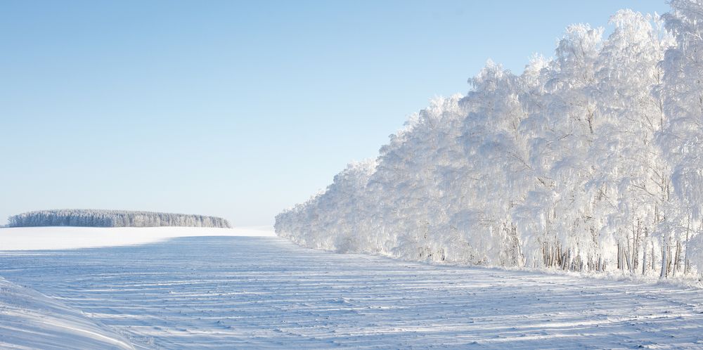 Все оттенки белого