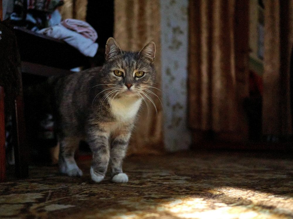 Фотография автора Siergiejevicz Mihail