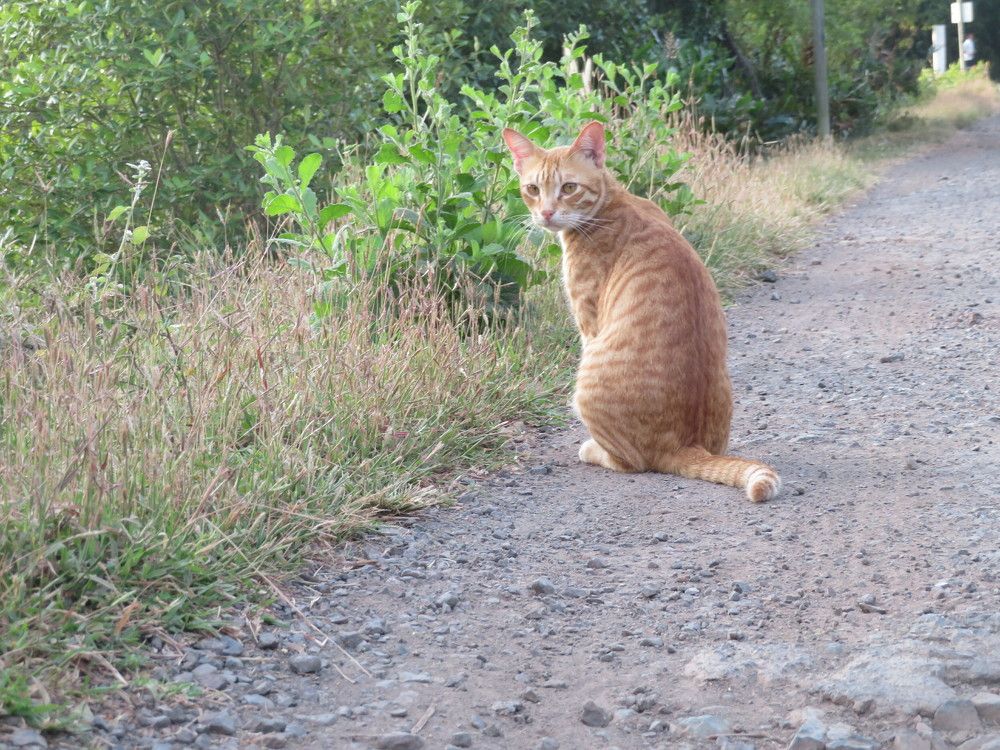 Photograph by Susmita Paul