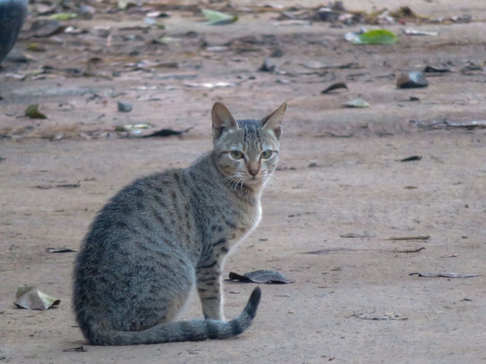 Photograph by Susmita Paul