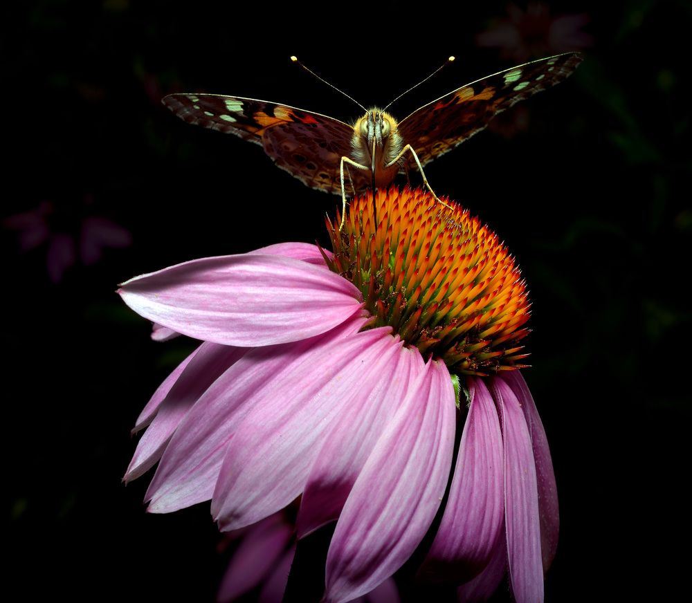 Photograph by Bekir Yesiltas