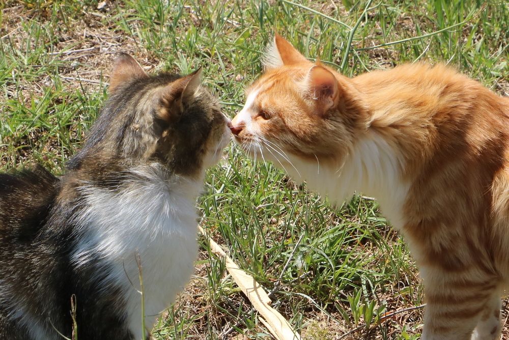 Photograph by Cengiz Yalcin