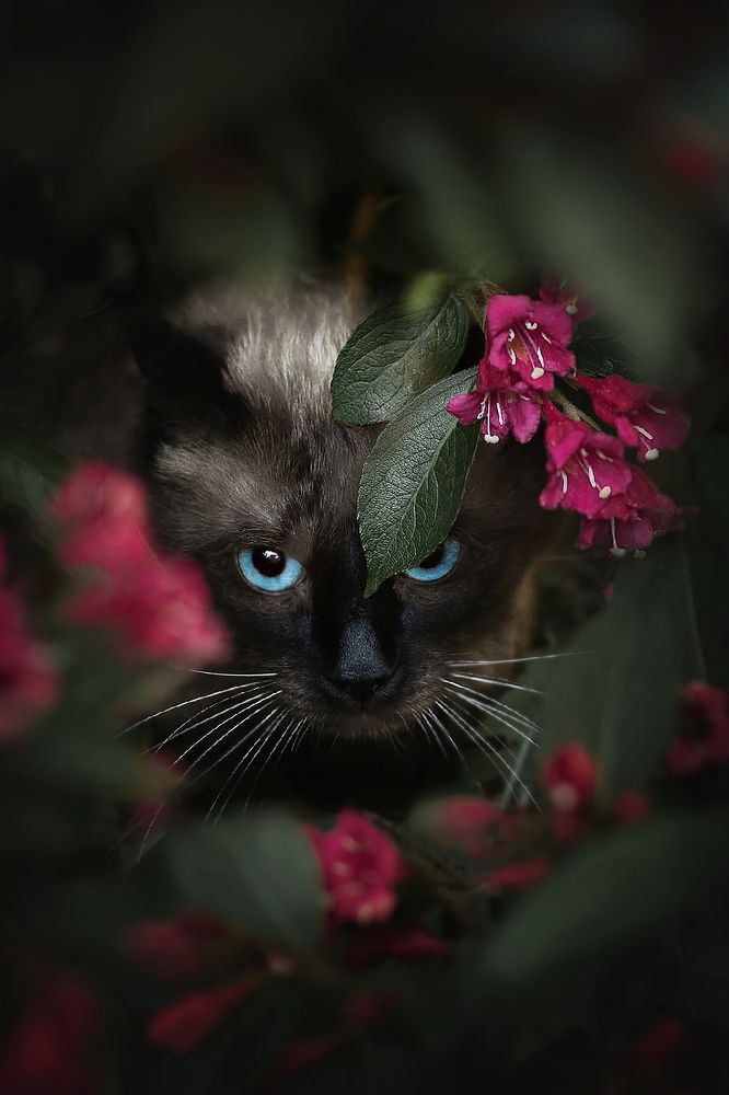 Photograph by Людмила Потапочкина