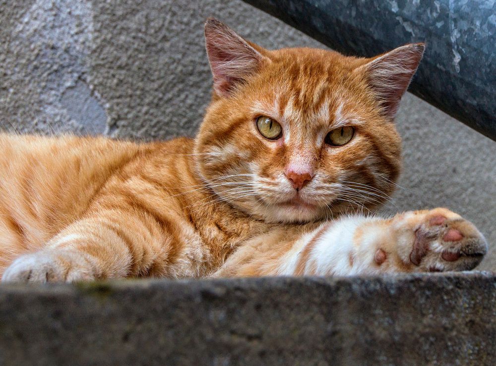 Photograph by Вадим Голосницкий