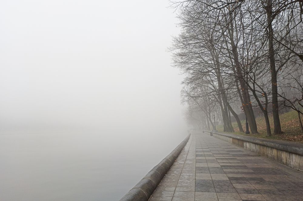 Тени во мгле.