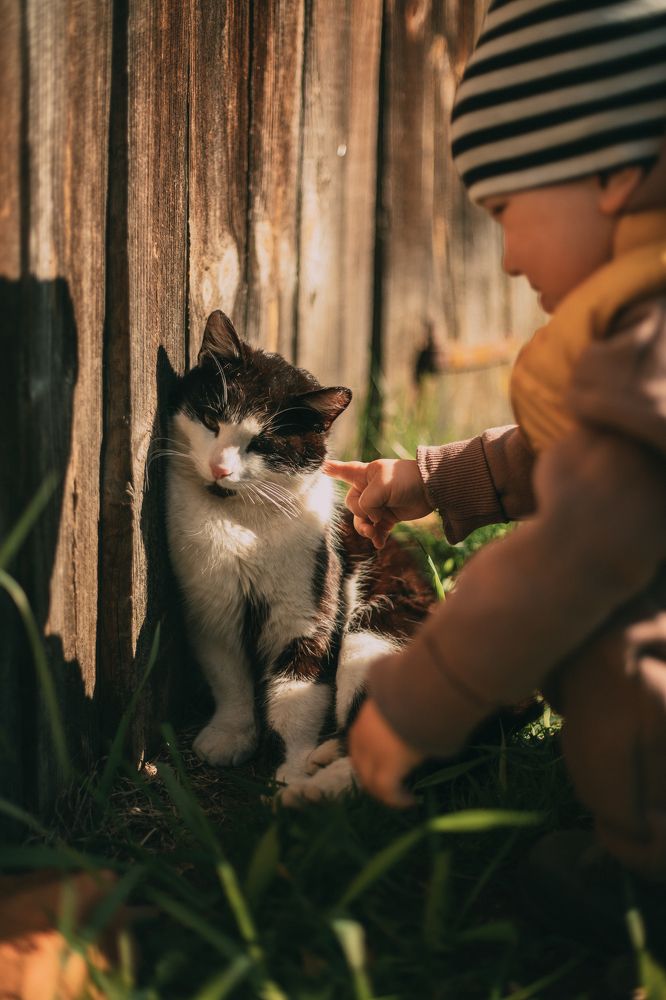 Photograph by Елена Копылова