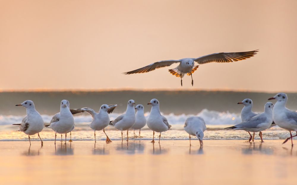 Photograph by Deepak KGK