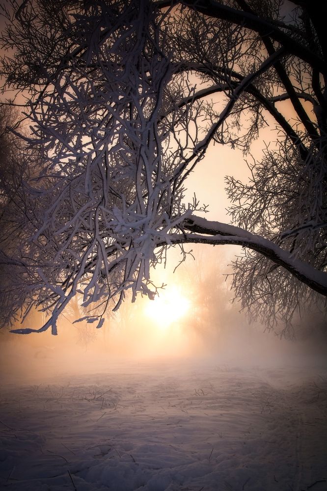 Photograph by Олеся