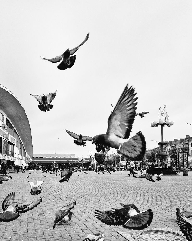 Photograph by Татьяна Соколовская