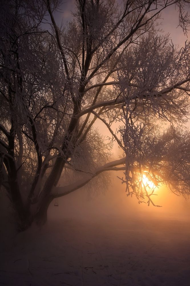 Photograph by Олеся