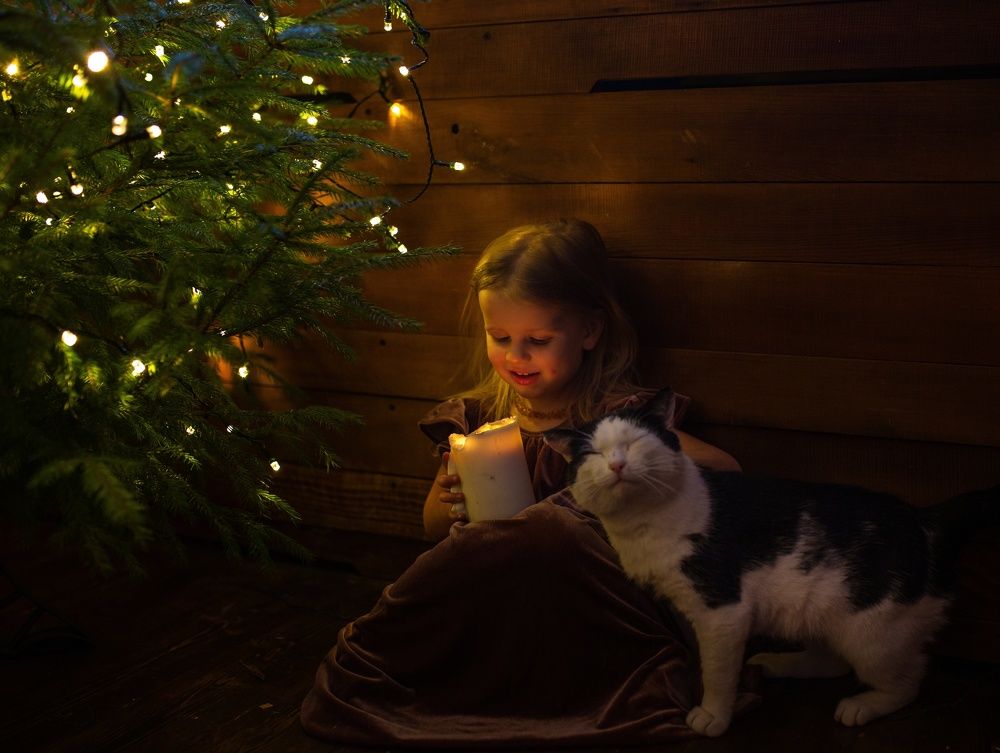 Photograph by Майя Полещук