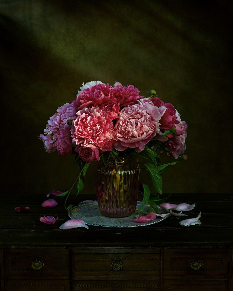 Photograph by Вера Голицына